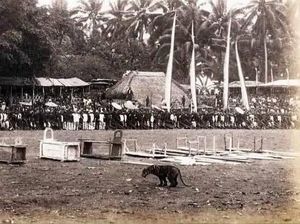 Tradisi Ramai-ramai Menombak Harimau yang Tersohor di Blitar Abad 19