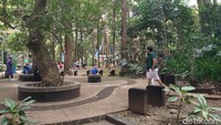 Taman hutan ini memiliki luas lebih dari 50.26 hektar.