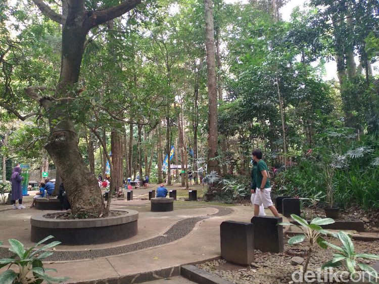 Tahura Djuanda yang Hijau dan Segar