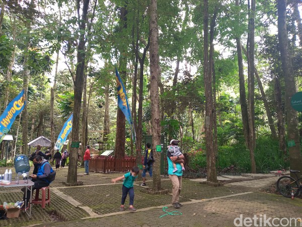 Tahura memiliki pohon pinus yang menjulang tinggi, udara sejuk, dan beberapa objek wisata seperti Goa Jepang, Goa Belanda, Tiga Curug, Penangkaran Rusa dan Tebing Keraton. Tahura memiliki pohon pinus yang menjulang tinggi, udara sejuk, dan beberapa objek wisata seperti Goa Jepang, Goa Belanda, Tiga Curug, Penangkaran Rusa dan Tebing Keraton.