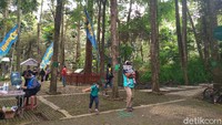 Tahura memiliki pohon pinus yang menjulang tinggi, udara sejuk, dan beberapa objek wisata seperti Goa Jepang, Goa Belanda, Tiga Curug, Penangkaran Rusa dan Tebing Keraton.