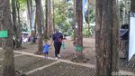 Tahura Djuanda yang Hijau dan Segar