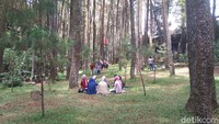Wisatawan bisa piknik di sini, asalkan menjaga jarak dengan wisatawan lain. 