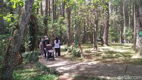 Jam operasional pun dari pukul 08.00 WIB sampai 16.00 WIB kecuali untuk objek wisata Tebing Keraton hingga pukul 18.00 WIB.