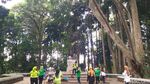 Tahura Djuanda yang Hijau dan Segar