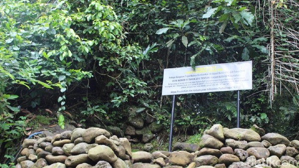 Situs itu berada berada di samping Kedung Pertelu, lokasi di mana tiga aliran sungai yaitu Sungai Paku, Sungai Paingan dan Sungai Tlahab bertemu jadi satu. Watu Dakon berasal dari zaman Megalitikum. (Vandi Romadhon/detikTravel) Situs itu berada berada di samping Kedung Pertelu, lokasi di mana tiga aliran sungai yaitu Sungai Paku, Sungai Paingan dan Sungai Tlahab bertemu jadi satu. Watu Dakon berasal dari zaman Megalitikum. (Vandi Romadhon/detikTravel)