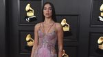 Dua Lipa Sang Duta Kehormatan Kosovo