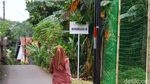 Inikah Lokasi Lahan Sarana Jaya yang Tersandung Korupsi DP 0 Persen?