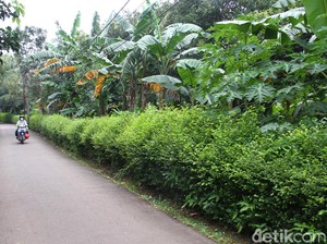 Komisi B DPRD Dapat Laporan Pengadaan Lahan di Cipayung untuk Rumah DP Rp 0