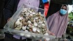 Kreatif, Limbah Kerang Disulap Jadi Kerajinan Cantik