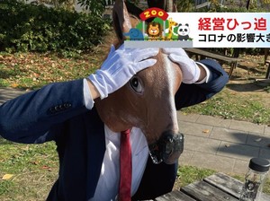 Cara Kebun Binatang Hokkaido Bertahan di Pandemi Corona