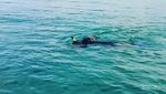 Perjalanan ke Pulau Pasoso, Menantang Maut di Spot Parumbia