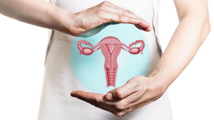 Mengenal Hormon Menstruasi yang Mempengaruhi Folikel dan Dinding Rahim