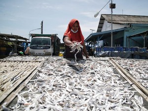 Olahan Ikan Kering Jadi Ladang Bisnis Perempuan Pesisir Demak