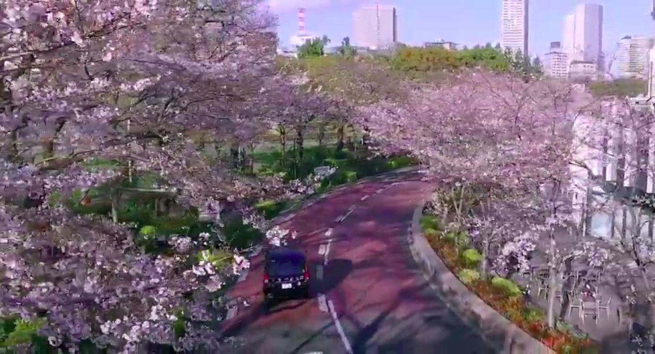 Taksi Ohanami 2021