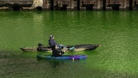 Situs tersebut tak membeberkan bahan pewarna untuk mengubah sungai menjadi hijau. Tetapi mereka menjamin bahan yang digunakan aman untuk lingkungan. AP Photo/Pat Nabong  