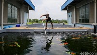 Tempat ini pun diketahui sudah mengekspor berbagai jenis ikan koi dan maskoki ke negara Eropa.
