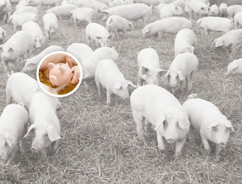Benda tersembunyi di foto editan