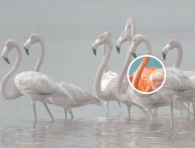 Benda tersembunyi di foto editan