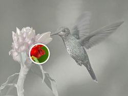 Uji Mata! Temukan Benda Tersembunyi di Foto Editan Berikut Ini