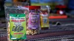Berdikari Lewat Bisnis Olahan Ikan