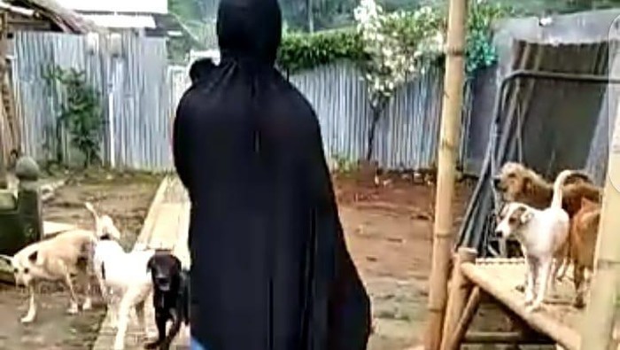 Kisah Hesti Sutrisno, wanita bercadar yang merawat 70 anjing liar.