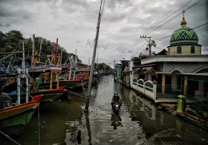 Jelajahumkmdemak