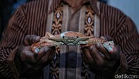 Sebagai informasi, detikcom bersama BRI mengadakan program Jelajah UMKM ke beberapa wilayah di Indonesia yang mengulas berbagai aspek kehidupan warga dan membaca potensi di daerah. Untuk mengetahui informasi lebih lengkap, ikuti terus beritanya di detik.com/tag/jelajahumkmbri.