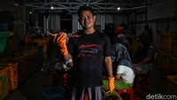 Seperti diketahui, sektor kelautan dan perikanan di Kabupaten Demak sendiri mampu menopang kontribusi Produk Domestik Regional Bruto (PDRB) sebesar 20%. Tak heran wilayah yang dikenal sebagai Kota Wali ini memiliki banyak sentra komoditi unggulan yang salah satunya adalah rajungan.