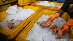 Melihat Lebih Dekat Desa Penghasil Rajungan di Demak