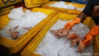 Meski mengaku mengalami penurunan produksi, Zainudin mengaku rajungan masih menjadi primadona di kalangan masyarakat karena pasarnya masih terbuka luas dan permintaannya masih banyak. Namun, ia tidak bisa merinci berapa omzet yang didapat dari hasil bakul rajungan tersebut.