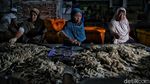 Melihat Lebih Dekat Desa Penghasil Rajungan di Demak