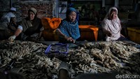 Namun demikian, salah satu Pengepul Rajungan di Desa Betahwalang Zainudin berpandangan beda, ia mengaku produksi rajungannya tidak sama di banding lima tahun lalu. Saat itu, ia bisa mengepul hingga rata-rata 3-4 ton per hari, namun kini ditempatnya tidak lebih dari 1 ton.