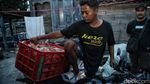 Melihat Lebih Dekat Desa Penghasil Rajungan di Demak