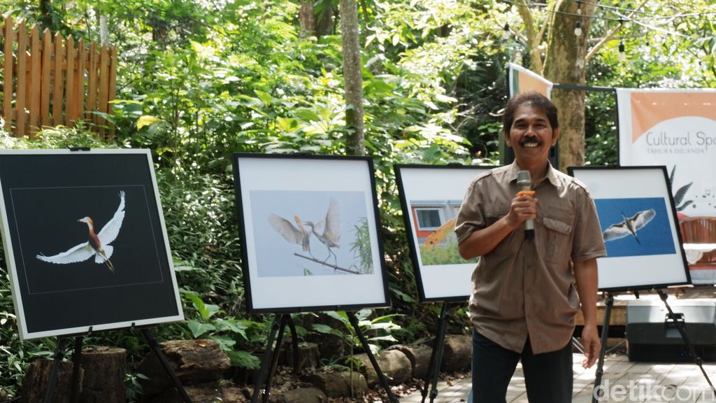 Menengok Keindahan Burung Blekok dalam Pameran Fotografi di Tahura Bandung