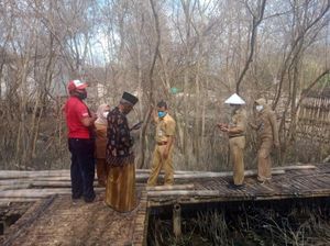 Ribuan Ulat Serbu Pesisir Demak Dinilai Gegara Maraknya Perburuan Burung