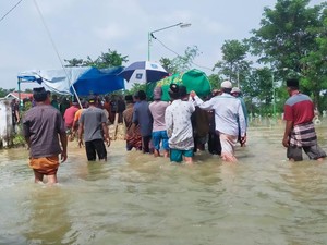 Pria di Lamongan Tewas Digigit Ular Saat Cari Ikan Ketika Banjir