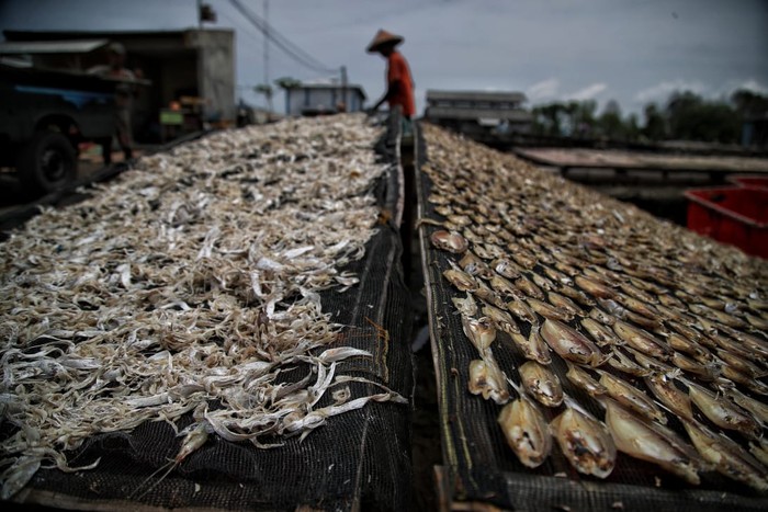 Sektor Kelautan & Perikanan Demak Sumbang Pendapatan Daerah Rp 1,129 M