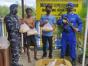 TNI AL Bantu Polairud Gagalkan Penyelundupan 903 Telur Penyu di Kaltim