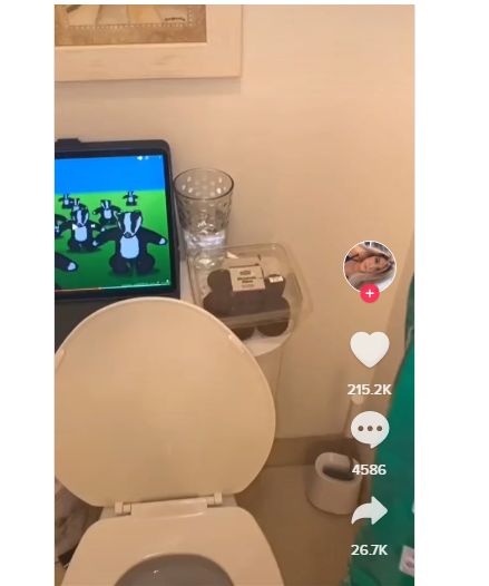 Jijik! Makan dan Minum sambil BAB di Toilet jadi Tren di TikTok