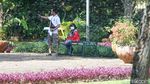Asyik! Taman Kota Sudah Dibuka Lagi Lho