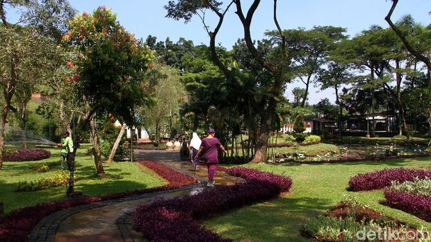 Pemprov DKI Jakarta membuka kembali 25 taman kota yang berad di lima wilayah Ibu Kota. Salah satunya Taman Tabebuya di kawasan Jagakarsa, Jakarta Selatan.