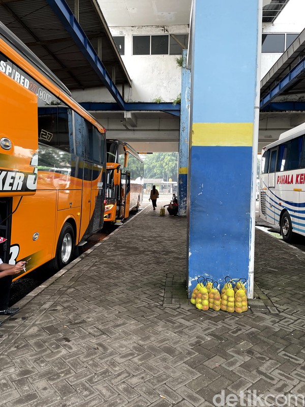 detikTravel menjajal bus ini pada awal minggu ini. Diketahui bahwa PO ini merupakan pemain baru dari trayek Malang-Jakarta. detikTravel menjajal bus ini pada awal minggu ini. Diketahui bahwa PO ini merupakan pemain baru dari trayek Malang-Jakarta.