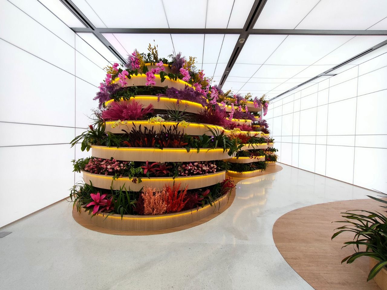 Experience di OPPO Gallery