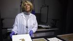 Gulungan Naskah Laut Mati Usia 2.000 Tahun Ditemukan di Israel