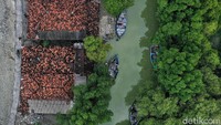 Air rob tersebut terjadi di Desa Morodemak, Kecamatan Bonang yang memang sudah menjadi makanan sehari-sehari bagi warga sekitar. Ini terjadi akibat tanah yang terus menurun dan juga abrasi yang menyerang sebagian wilayah Demak.