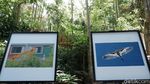 Foto: Indahnya Burung Blekok dalam Pameran Fotografi