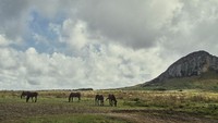 Tidak diketahui kapan waktu pasti pulau ini ditempati manusia. Hanya ada perkiraan berkisar dari 800-1200 M. Misteri kehancurannya juga belum terjawab, namun katanya kehancuran mereka disebabkan oleh ulah mereka sendiri.