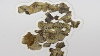 Sebelumnya, para arkeolog telah menemukan Gulungan Laut Mati di gua-gua gurun di Tepi Barat dekat Qumran pada 1940-an dan 1950-an. Gulungan tersebut berasal dari abad ke-3 hingga abad pertama SM. Gulungan ini termasuk salinan paling awal dari teks-teks alkitabiah dan dokumen-dokumen yang menjelaskan kepercayaan orang Yahudi. Foto: (Sebastian Scheiner/AP)