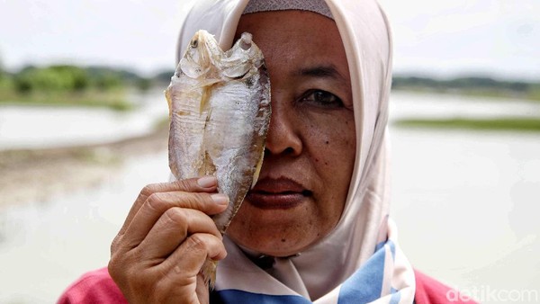 Sosok Tangguh Pelopor Nelayan Wanita di Demak